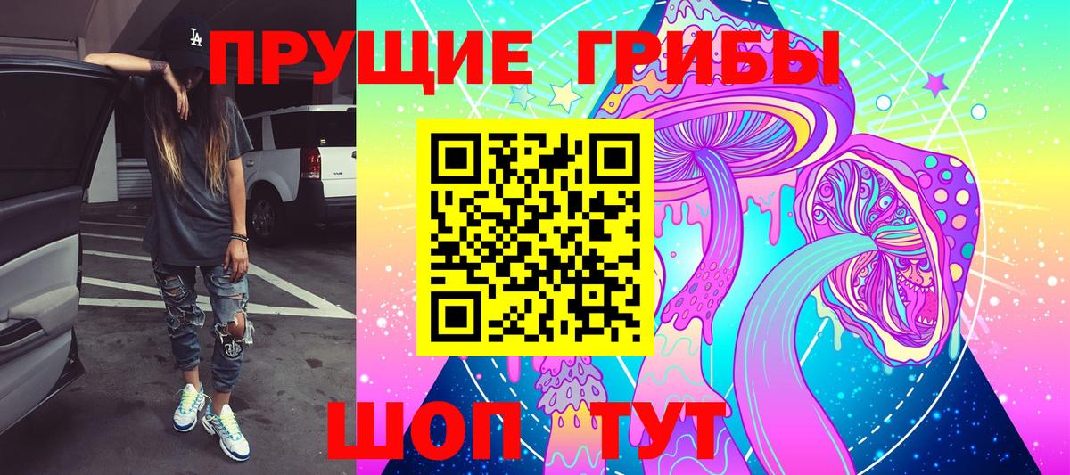 Будённовск  Псилоцибиновые грибы Psilocybe  наркошоп  Вход с VPN 