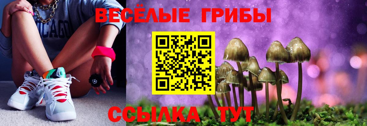 Галлюциногенные грибы Psilocybine cubensis Будённовск